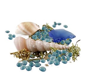 Blue Tide Pools Beach Potpourri