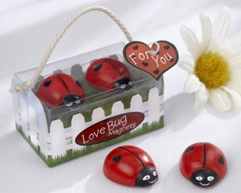 "Love Bug" Ladybug Magnets